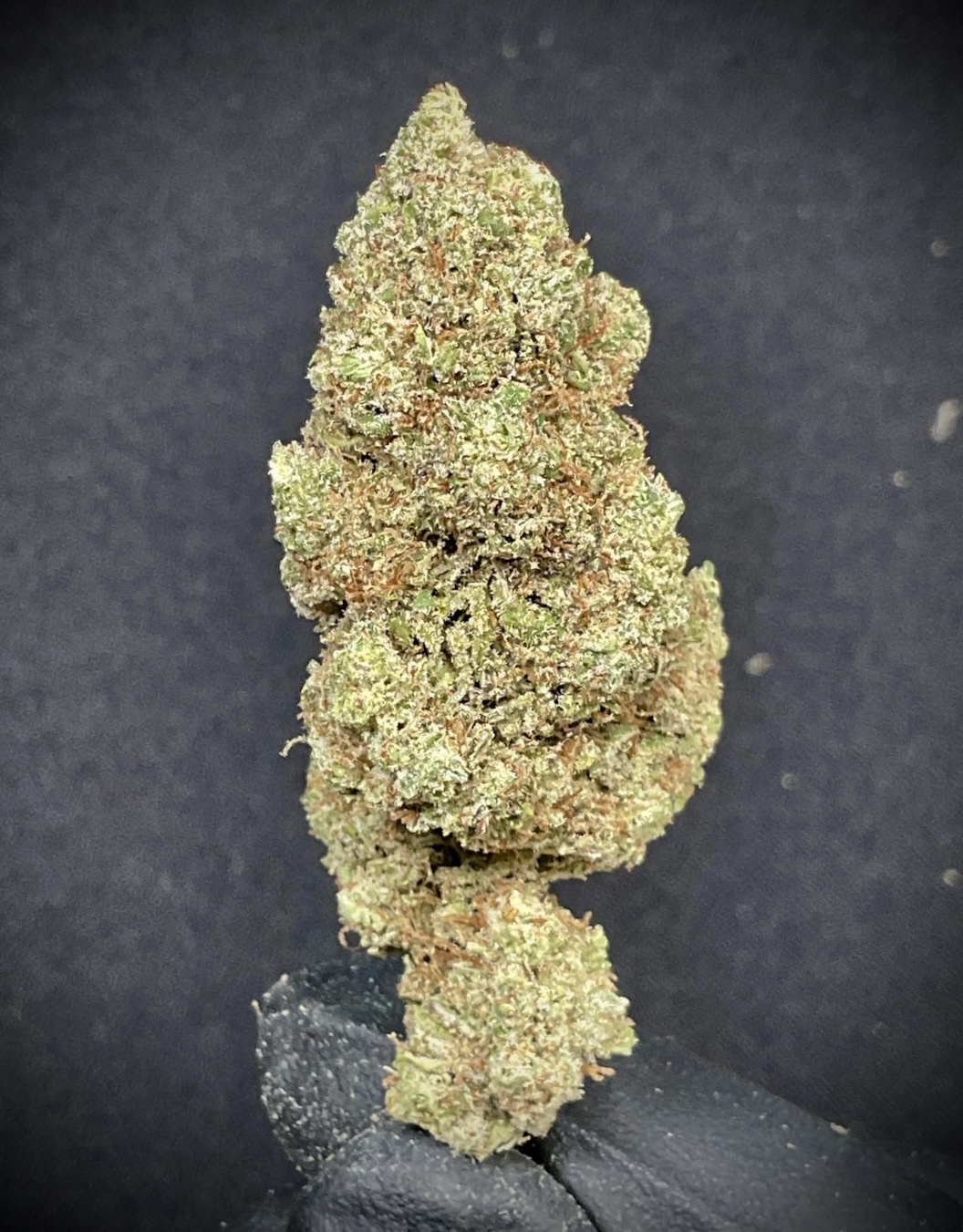 Hawaiian Haze CBD / 1 oz (28g)